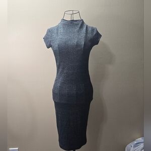 NWOT Iris Metallic Gray Knit Dress